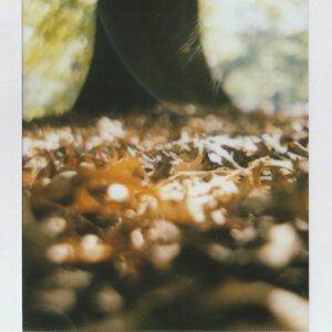 A Hazy Shade of Autumn