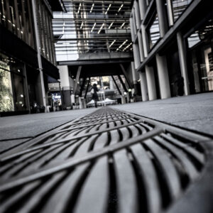 Staring at the Stars