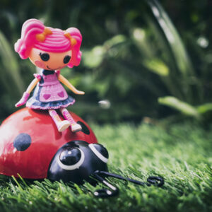 But the ladybird saw, and the ladybird heard