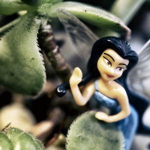 They call me Nutsack