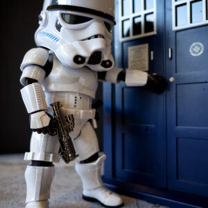 Authorisation permit to land